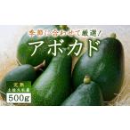 土佐久礼産 完熟アボカド 500g