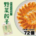 大阪ふくちぁん野菜餃子 冷凍生餃子 72個