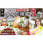 ふるさと納税 宮崎県産鶏チキン南蛮3.0kgセット - 宮崎名物チキン南蛮(230g×11パック) オリジナルタルタルソース(50g×11パック) お手.. 宮崎県都城市