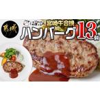 ふるさと納税 宮崎牛合挽ハンバーグ13個_13-1505_(都城市) ハンバーグ 160g×13パック 個包装 宮崎牛 A4ランク以上 4等級 豚肉 合挽肉 ばあ.. 宮崎県都城市