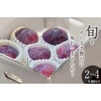 ふるさと納税 ＜2026年発送先行予約＞南アルプス市産 貴陽 約1.5kg（5〜7個入り） ALPAL015 山梨県南アルプス市