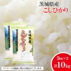 茨城コシヒカリ5kg×2 こしひかり 令和7年