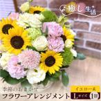 イエロー系 Lサイズ 癒し生活 季節のおまかせフラワーアレ…