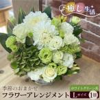 ホワイト&グリーン系 Lサイズ 癒し生活
