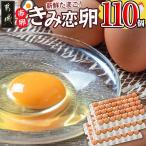新鮮赤卵 きみ恋卵 110個