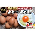 fu.... налог ..... яйцо 85 шт примерно 5kg_MJ-2910_( столица замок город ) река средний сельское хозяйство . тест .........tamago.. желтый . Tama . шар . повреждение возмещение сладости Miyazaki префектура столица замок город 