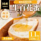 西洋蜂蜜 生百花蜜 1.1kg