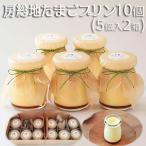 房総地たまごプリン10個