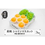 ショッピングふるさと納税 シャインマスカット ふるさと納税 先行予約  有袋黄桃 シャインマスカット 秀品 詰め合わせ 計3kg 2026年産 令和8年産 山形県産 送料無料 もも ぶどう 果物 フルー.. 山形県尾花沢市
