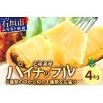 ふるさと納税 【訳あり】 石垣島産パイナップル4〜10個 約4kg 《2025年5月から順次発送いたします》KP-15 沖縄県石垣市