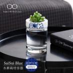 SaiSui Blue 花伊万里 植物付き