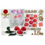 ショッピングふるさと納税 先行予約 ふるさと納税 【2026年発送先行予約】厳選！南アルプス市産『貴陽』　中玉約1.5kg（7〜10玉） ALPDD013 山梨県南アルプス市