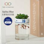 SaiSui Blue 染果実 植物付き インテリア