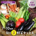 旬の京野菜セットS 野菜