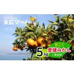甘こく愛媛みかん 瀬戸内の太陽と潮風で育ったご 5kg