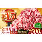 佐賀牛切り落とし500g HCS029