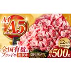 佐賀牛切り落とし500g HCS031