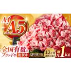 佐賀牛切り落とし500g×2パック HCS034