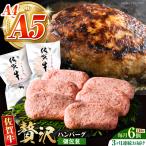佐賀牛ハンバーグ140g×6個 HCS035