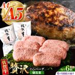 佐賀牛ハンバーグ140g×6個 HCS036