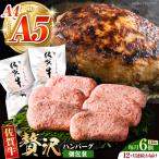 佐賀牛ハンバーグ140g×6個 HCS037