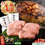 佐賀牛ハンバーグ140g×12個 HCS038