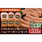 長崎浪漫工房 九州産豚肉使用ハム ソーセージ詰合せ 計5種