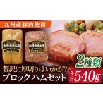 長崎浪漫工房 九州産豚肉使用ハム詰合せ 計2種