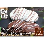 キャラメルサンドショコラ ひのでや B-709