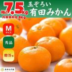 みかん Mサイズ 秀品 箱込 7.5kg