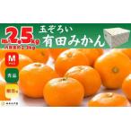ふるさと納税 みかん Ｍサイズ 秀品 箱込 2.5kg (内容量約 2.3kg) 有田みかん 和歌山県産 産地直送 贈答用 ［2025年11月中旬より順次出荷予.. 和歌山県有田川町