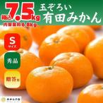 みかん Sサイズ 秀品 箱込 7.5kg
