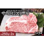 牛肉 サーロイン サーロインステーキ 250g×2枚