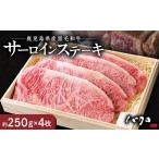 牛肉 サーロイン サーロインステーキ 1枚250g 4枚入り