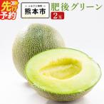 肥後グリーン メロン 2玉入