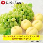 桃 ぶどう 2026年 岡山 白桃 5玉とシャイン マスカット 2房 詰合せ