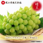 ぶどう 2026年 シャイン マスカット 晴王 2房