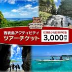 旅行券 沖縄 チケット 西表島 アクティビティ