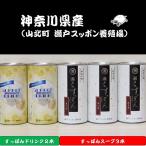 産すっぽんスープ 180g×3本+スッポンドリンク2本