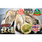 ふるさと納税 【先行予約】仙鳳趾名産 牡蠣 100〜149g×20個＋かきナイフ付K4-1_仙鳳趾 センポウシ せんぽうし 牡蠣 カキ 生食用 殻付き 牡.. 北海道釧路町