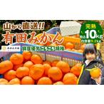 ふるさと納税 有田みかん 訳あり みかん 約9.2kg  和歌山県産 和歌山県有田川町