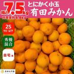 みかん とにかく小玉 箱込 7.5kg