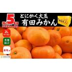 ふるさと納税 みかん 大玉 どっこいしょ 箱込 5kg ( 内容量約 4.4kg ) 2Lサイズ以上 秀品 優品 混合 有田みかん 和歌山県産 産地直送 家庭用.. 和歌山県有田川町