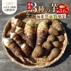 ◆◆2026年度収穫分◆◆ 厳選3種の芋