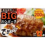 ふるさと納税 【期間限定】黒毛和牛入り BIGハンバーグ 総量2.4kg（200g×12個）泉州玉ねぎ使用 大阪府泉佐野市