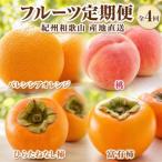 紀州和歌山産旬のフルーツセット バレンシア