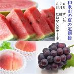 和歌山の夏のフルーツ定期便 全3回