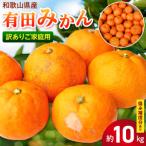 有田みかん 8kg+2kg保証分 サイズ混合_EH6101