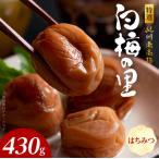 特選紀州南高梅 白梅の里 はちみつ 430g_SF2011