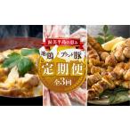 ふるさと納税 【定期便】ブランド豚・地鶏 定期便 全3回 田原ポーク 名古屋コーチン 愛知県田原市
